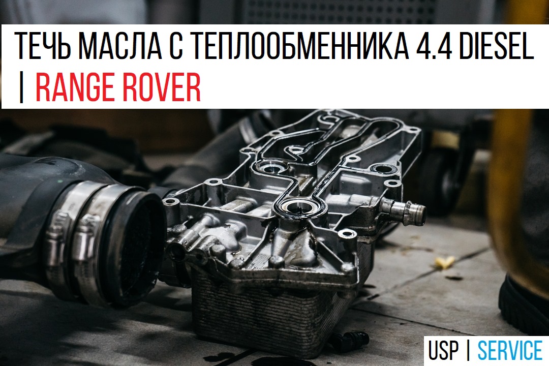 ���� ����� � ������������� 4.4 Diesel | Range Rover