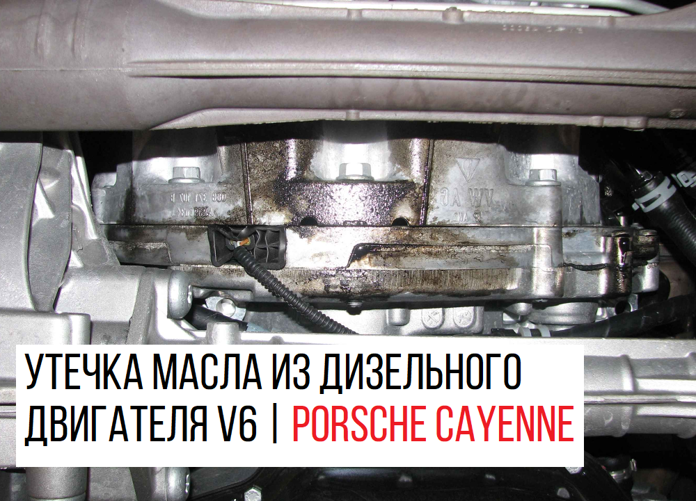 ���� ����� � ���������� ������� V6 | Porsche Cayenne