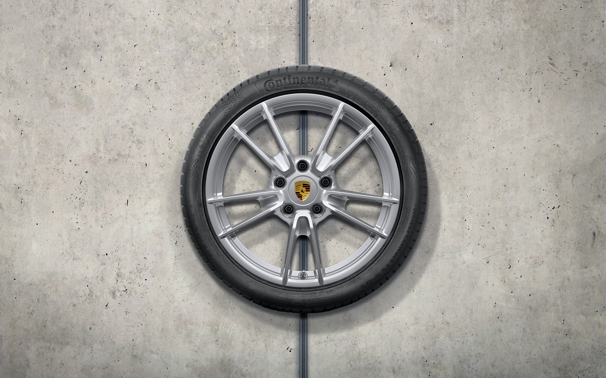 �������� ������� ���� <p>� 19/20-��������� ������� Carrera